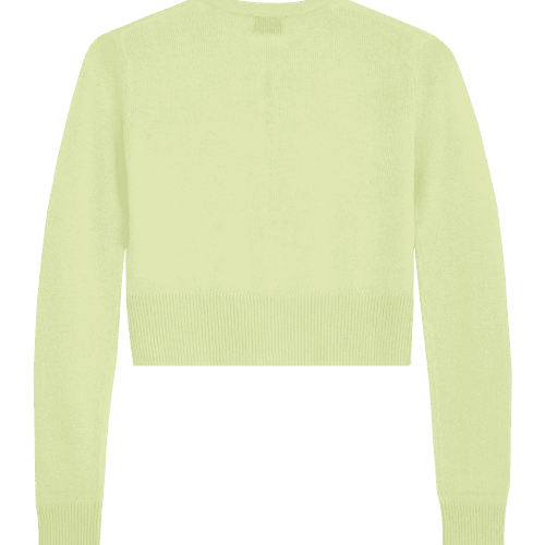 FF CASHMERE WOOL SMALL SWEATER ZEST back