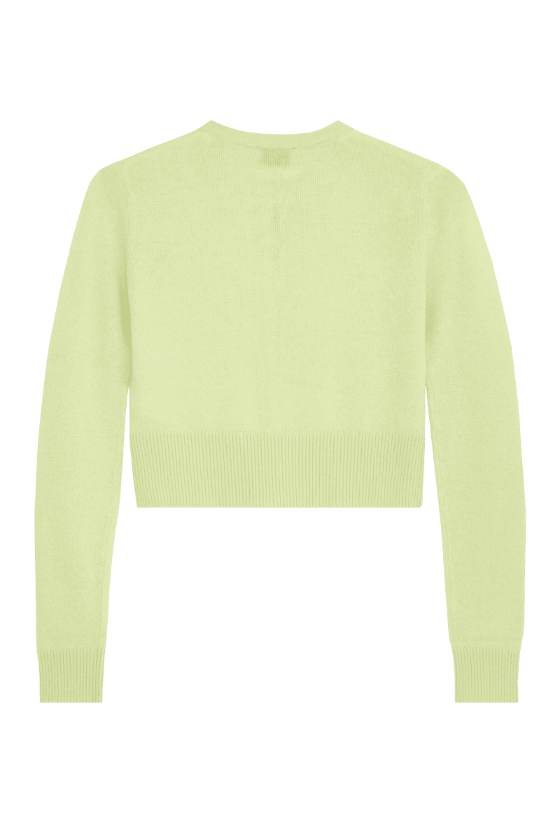 FF CASHMERE WOOL SMALL SWEATER ZEST back