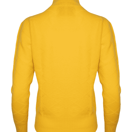 JMP 3DTURTLESWEATER YELLOW back