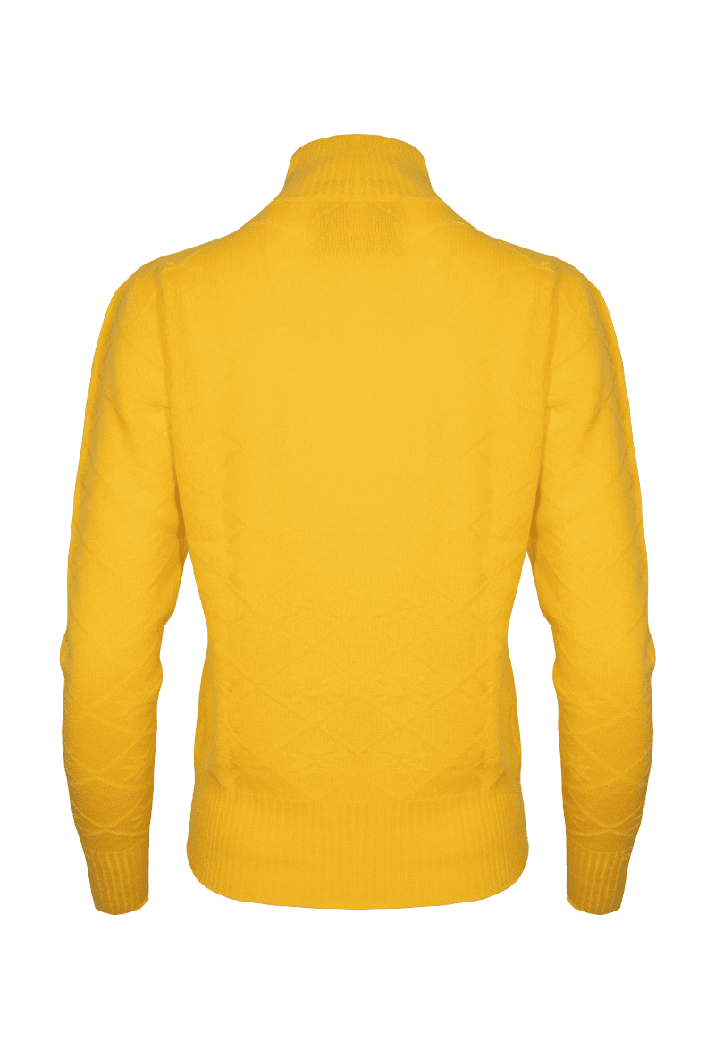 JMP 3DTURTLESWEATER YELLOW back