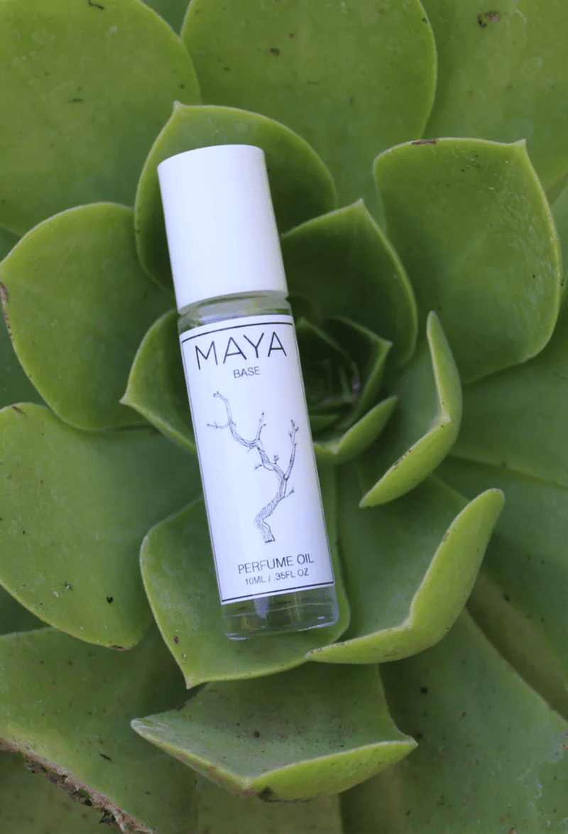 MAYA BASE10ML succulent